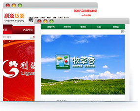 购物网站建设